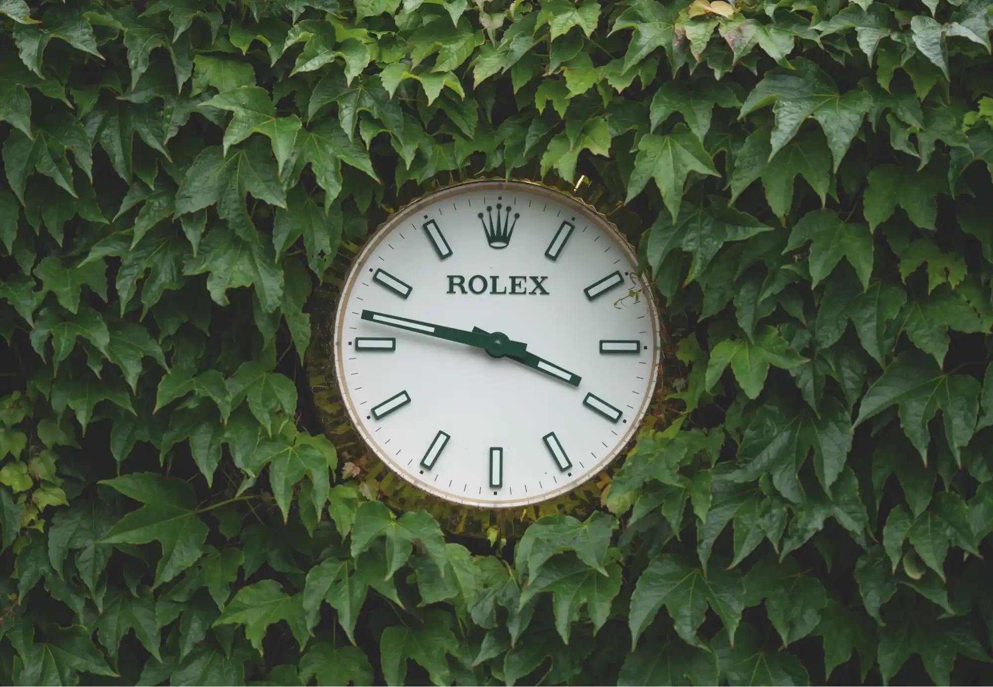 Rolex and The Championships, Wimbledon - Watch Palace