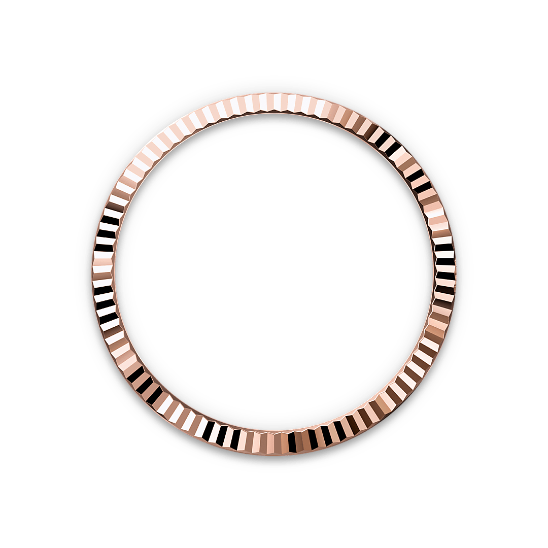 Rolex Datejust in Everose Rolesor - combination of Oystersteel and Everose gold, M126231-0020 - Watch Palace