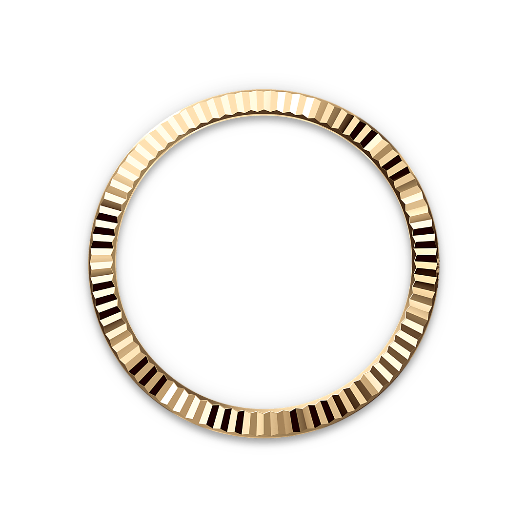 Rolex Datejust in Yellow Rolesor - combination of Oystersteel and yellow gold, M126333-0019 - Watch Palace
