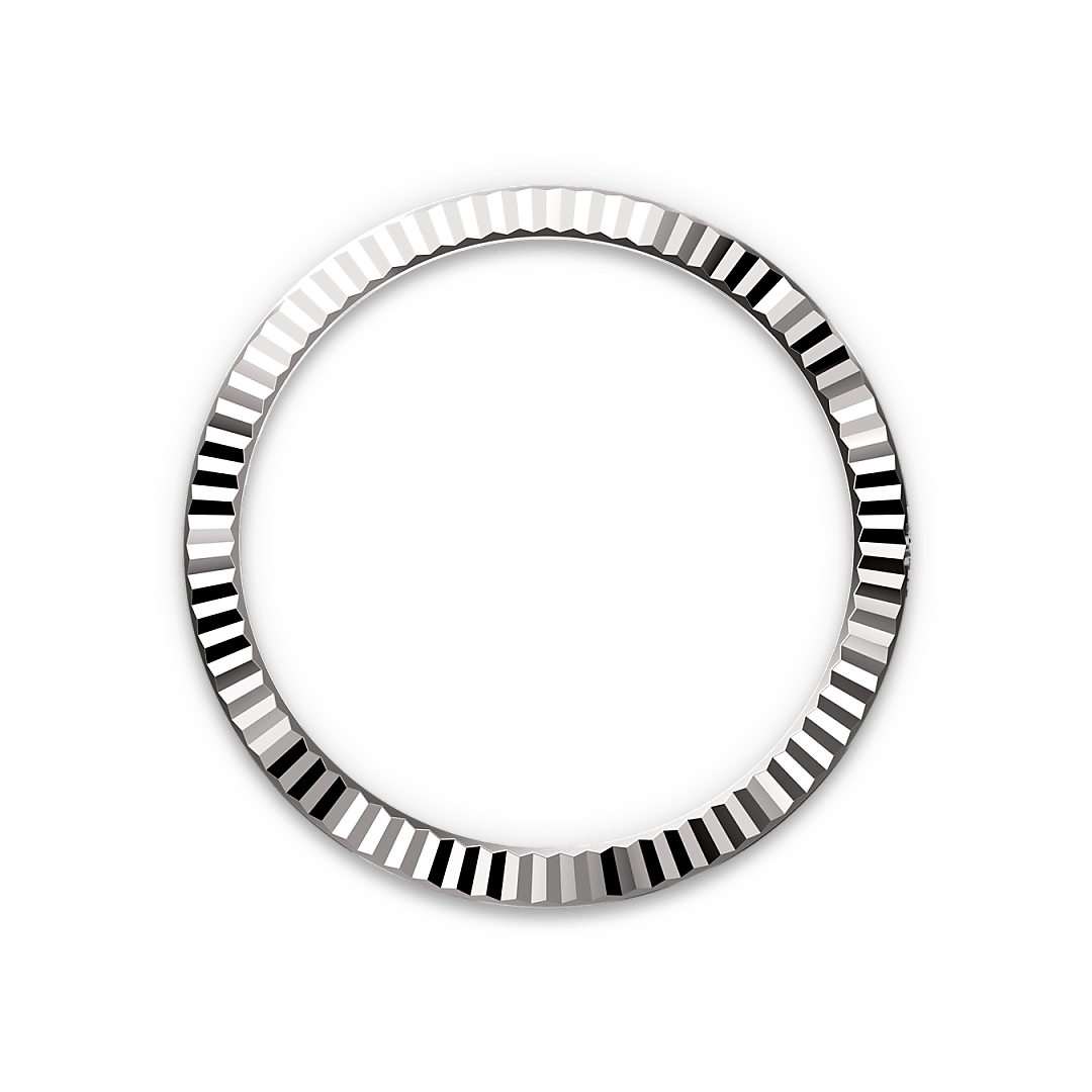 Rolex Datejust in White Rolesor - combination of Oystersteel and white gold, M126334-0002 - Watch Palace