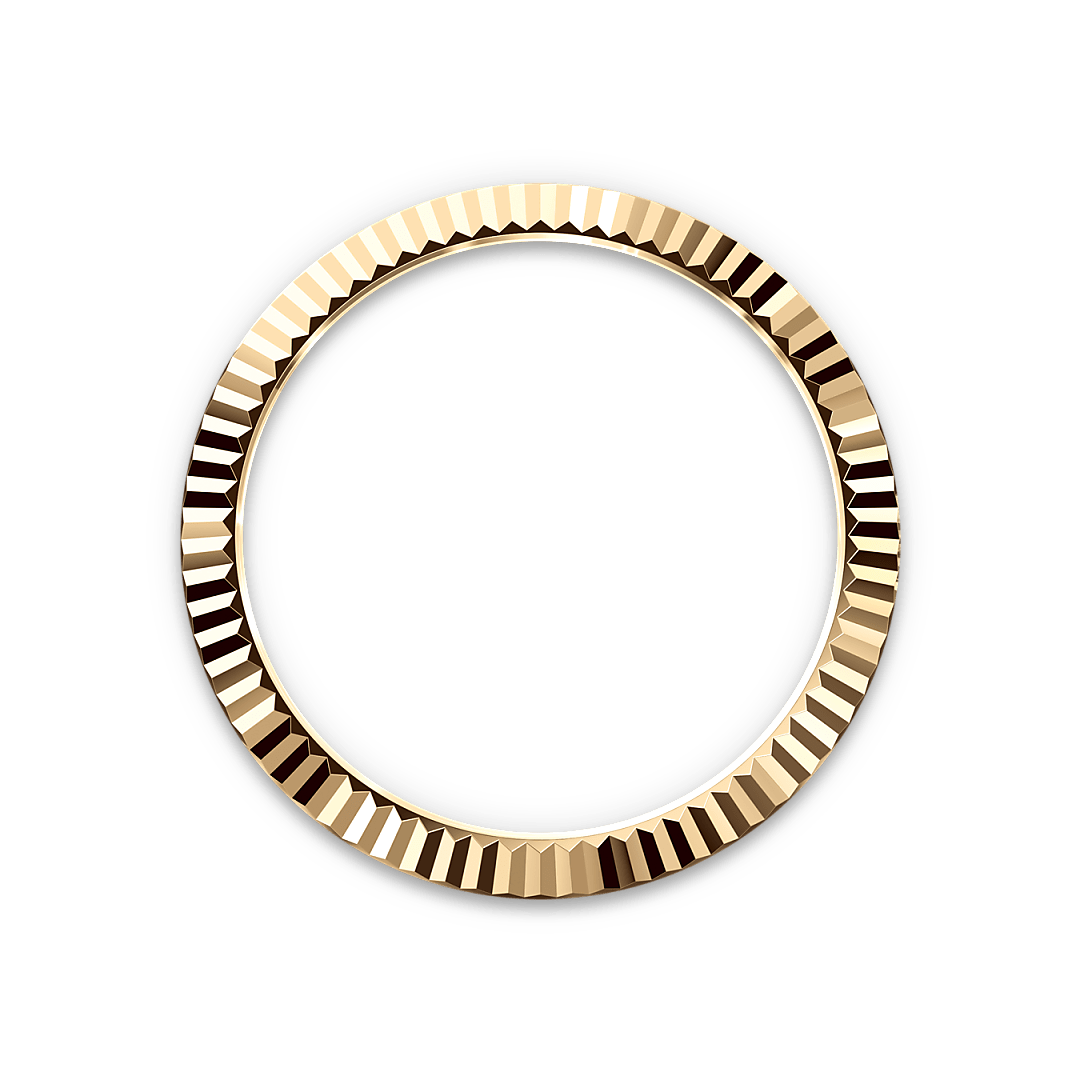 Rolex Sky-Dweller in 18 ct yellow gold, M336938-0008 - Watch Palace