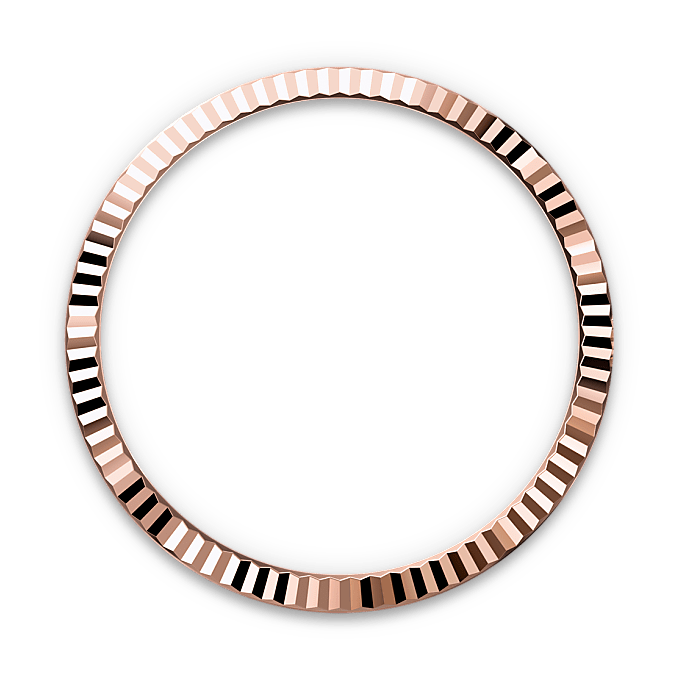 Rolex Datejust in Everose Rolesor - combination of Oystersteel and Everose gold, M126231-0020 - Watch Palace