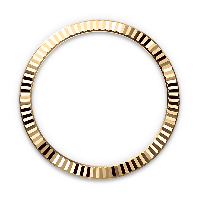 Rolex Datejust in Yellow Rolesor - combination of Oystersteel and yellow gold, M126333-0010 - Watch Palace