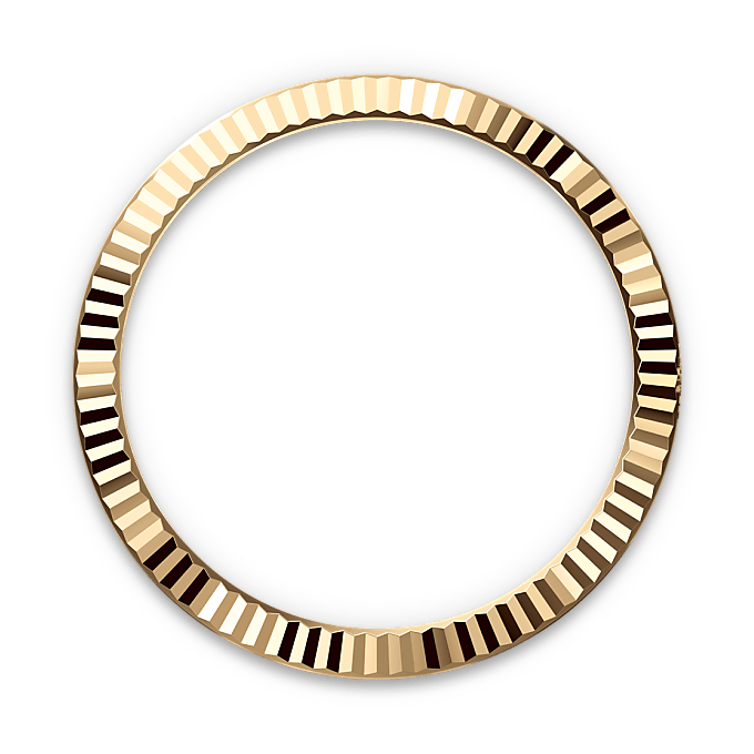 Rolex Datejust in Yellow Rolesor - combination of Oystersteel and yellow gold, M126333-0019 - Watch Palace