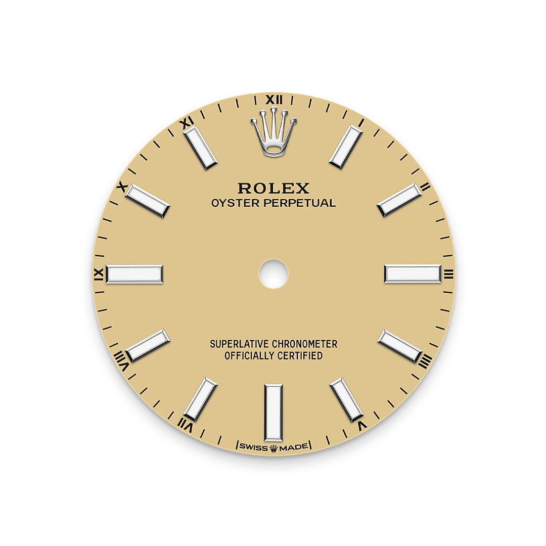 Rolex Oyster Perpetual in Oystersteel, M124200-0007 - Watch Palace