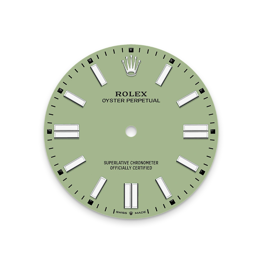 Rolex Oyster Perpetual in Oystersteel, M134300-0006 - Watch Palace