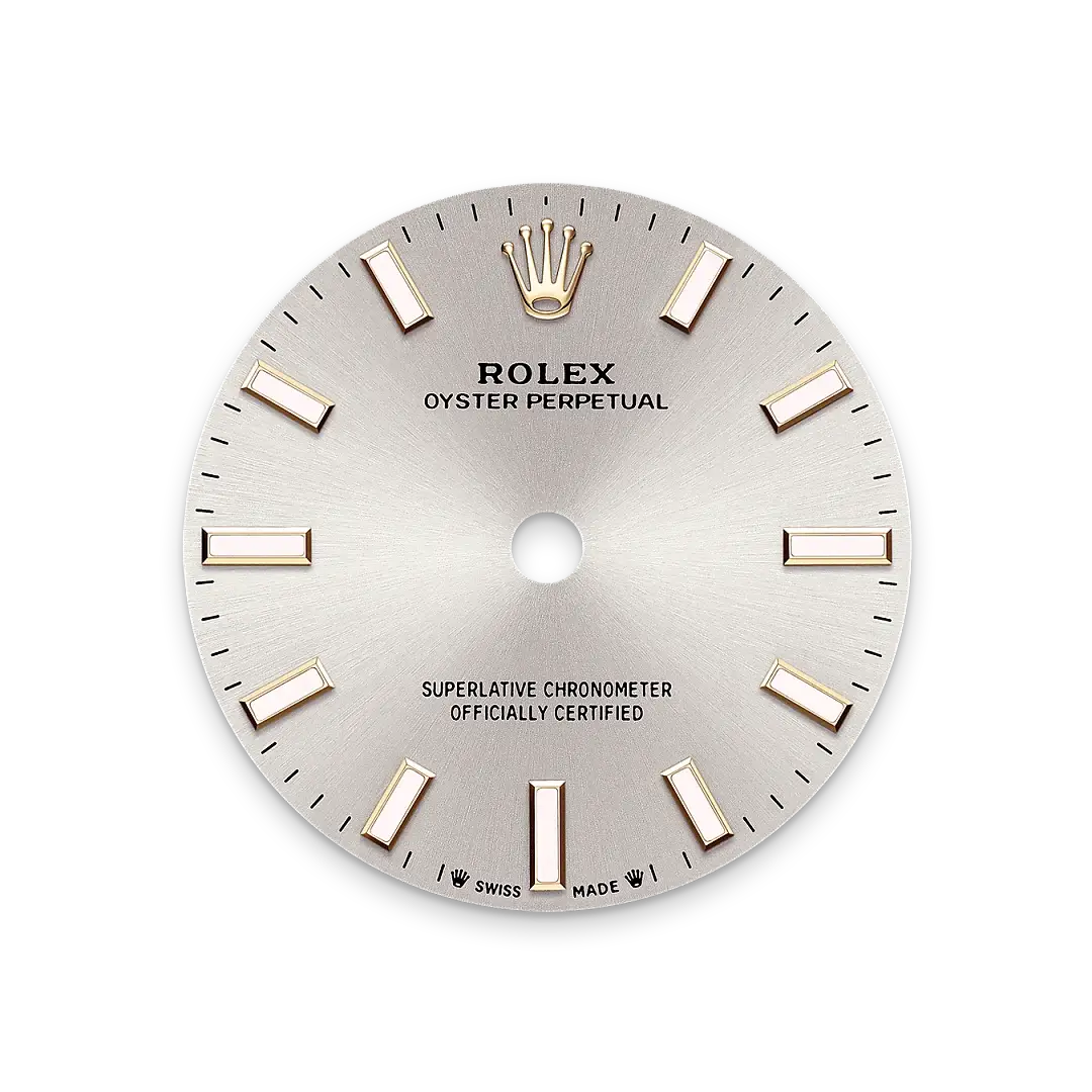 Rolex Oyster Perpetual in Oystersteel, M276200-0001 - Watch Palace