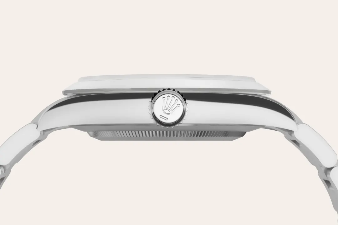 Rolex Explorer in Oystersteel, M224270-0001 - Watch Palace