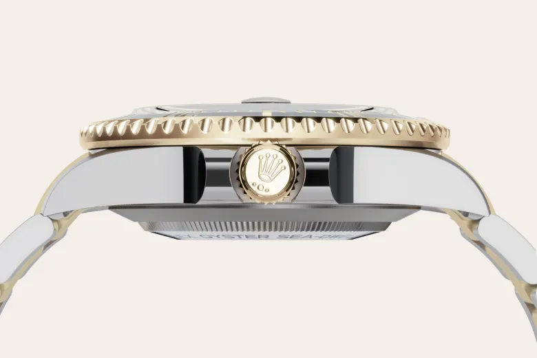 Rolex Sea-Dweller in Yellow Rolesor - combination of Oystersteel and yellow gold, M126603-0001 - Watch Palace