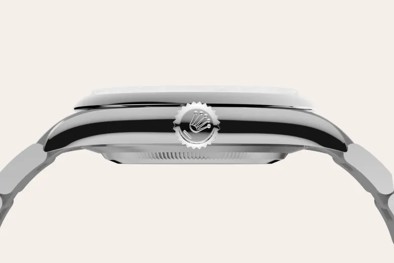 Rolex Oyster Perpetual in Oystersteel, M134300-0006 - Watch Palace