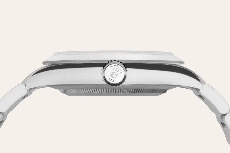 Rolex Explorer in Oystersteel, M224270-0001 - Watch Palace