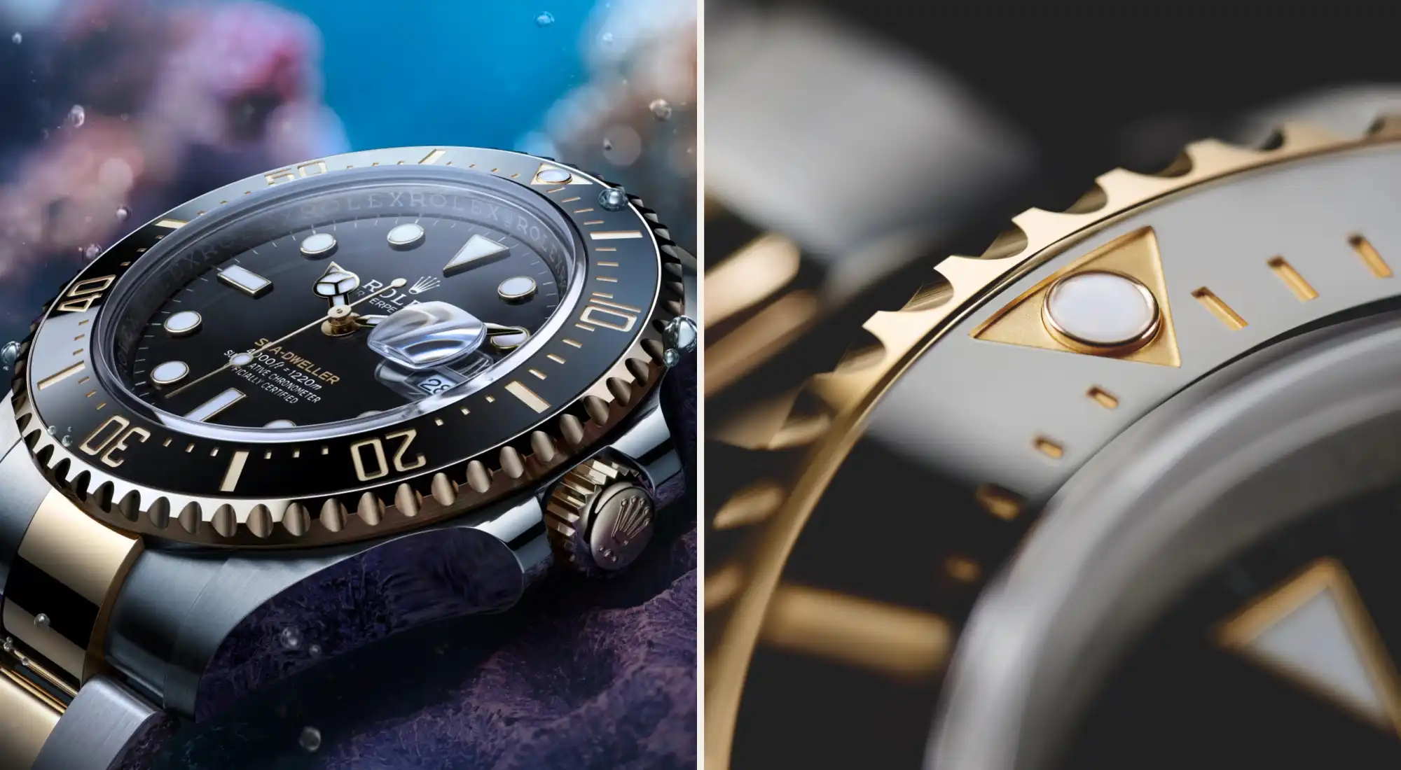Rolex Sea-Dweller - Watch Palace
