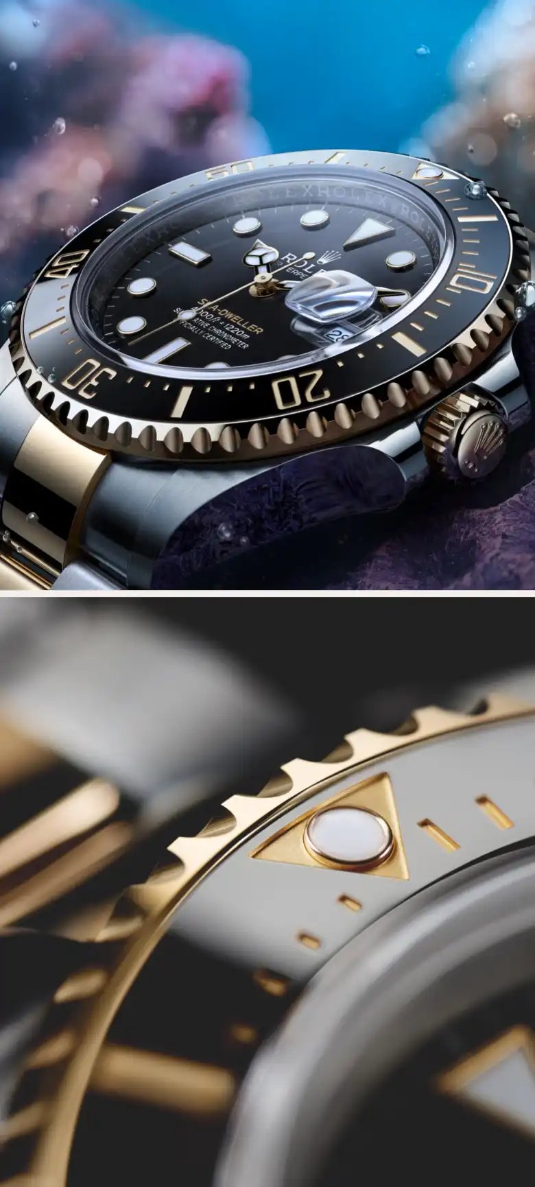 Rolex Sea-Dweller - Watch Palace