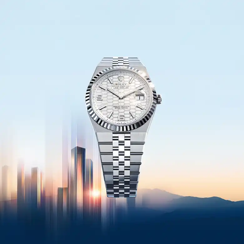 Rolex Land-Dweller - Watch Palace
