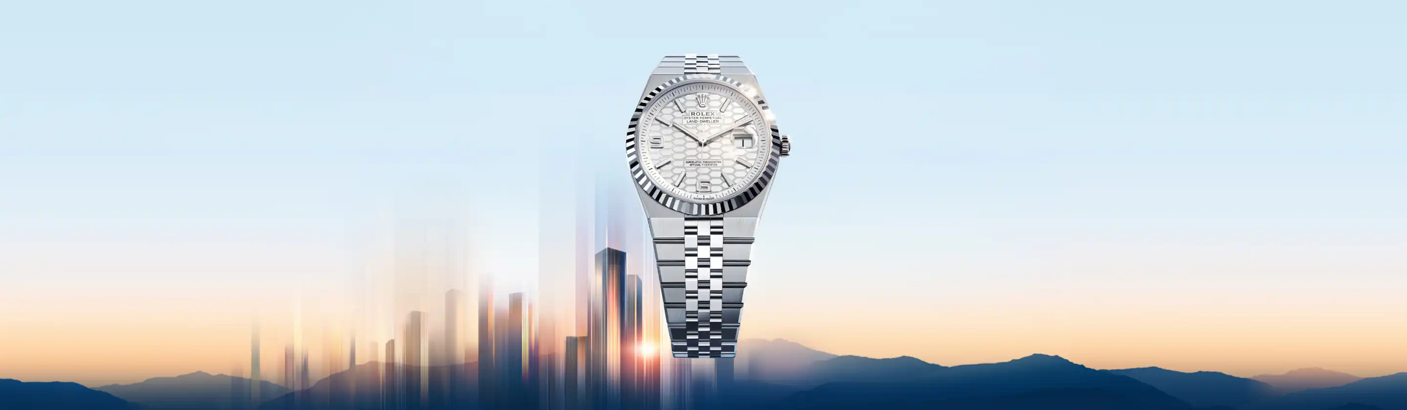 Rolex Land-Dweller - Watch Palace