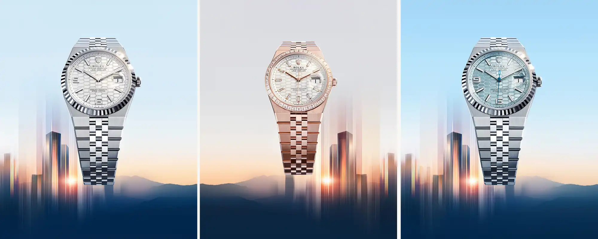 Rolex Land-Dweller - Watch Palace