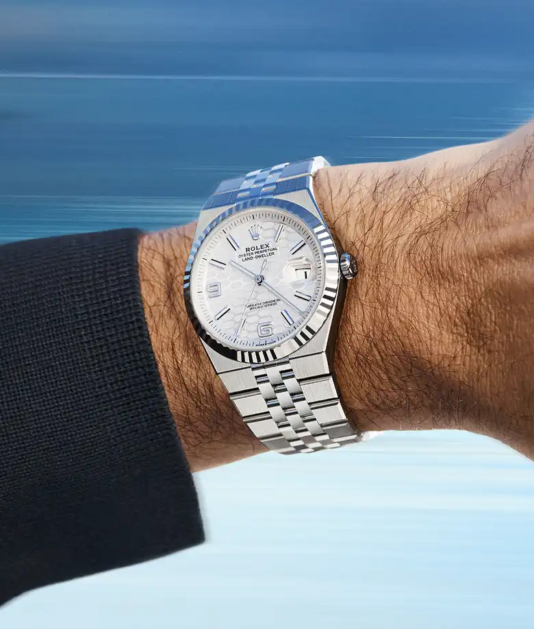 Rolex Land-Dweller - Watch Palace