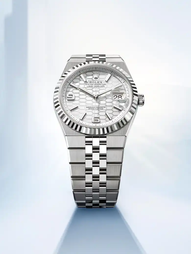 Rolex Land-Dweller - Watch Palace