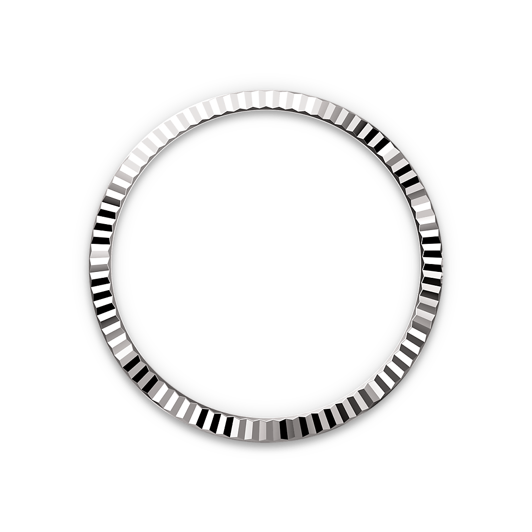 Rolex Datejust in White Rolesor - combination of Oystersteel and white gold, M126234-0015 - Watch Palace