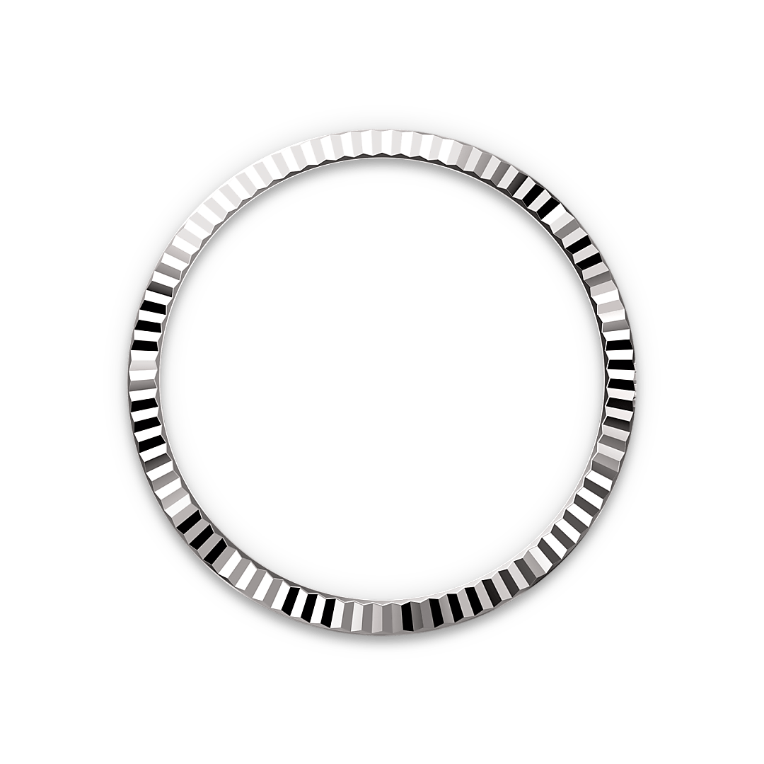 Rolex Datejust in White Rolesor - combination of Oystersteel and white gold, M126234-0017 - Watch Palace