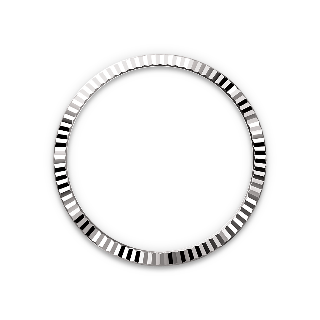 Rolex Datejust in White Rolesor - combination of Oystersteel and white gold, M126234-0019 - Watch Palace