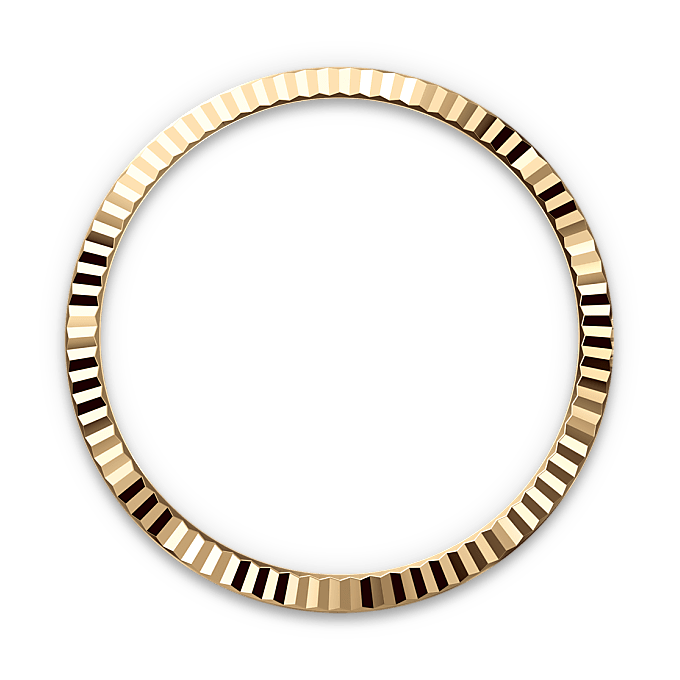 Rolex Datejust in Yellow Rolesor - combination of Oystersteel and yellow gold, M126233-0025 - Watch Palace
