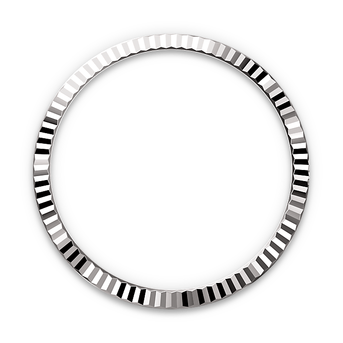 Rolex Datejust in White Rolesor - combination of Oystersteel and white gold, M126234-0015 - Watch Palace
