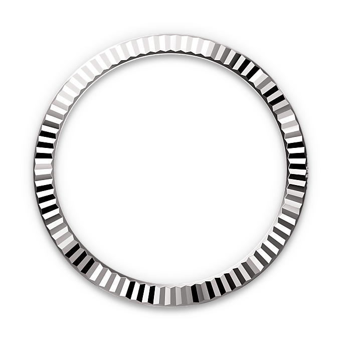 Rolex Datejust in White Rolesor - combination of Oystersteel and white gold, M126334-0016 - Watch Palace