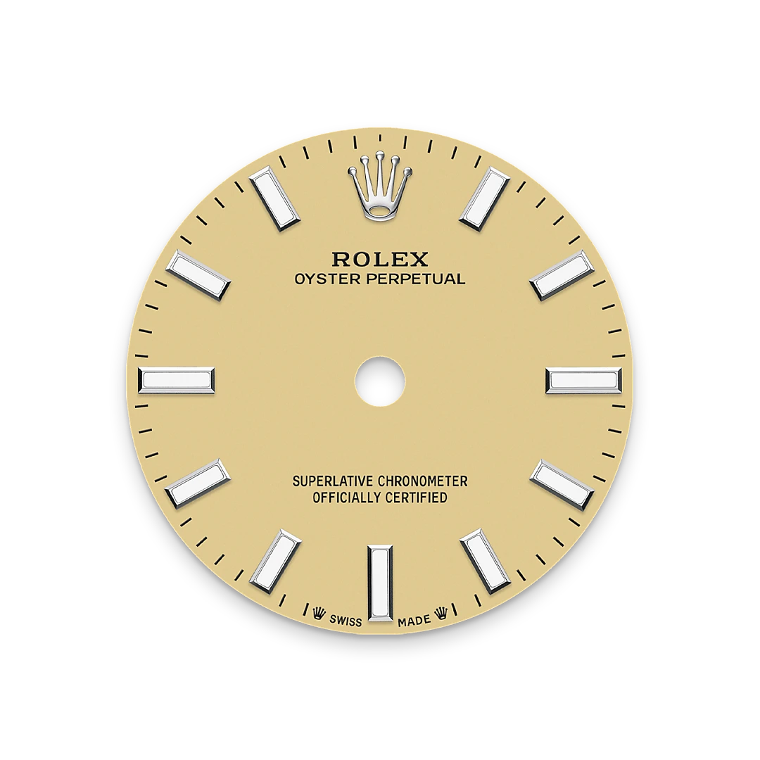 Rolex Oyster Perpetual in Oystersteel, M276200-0007 - Watch Palace