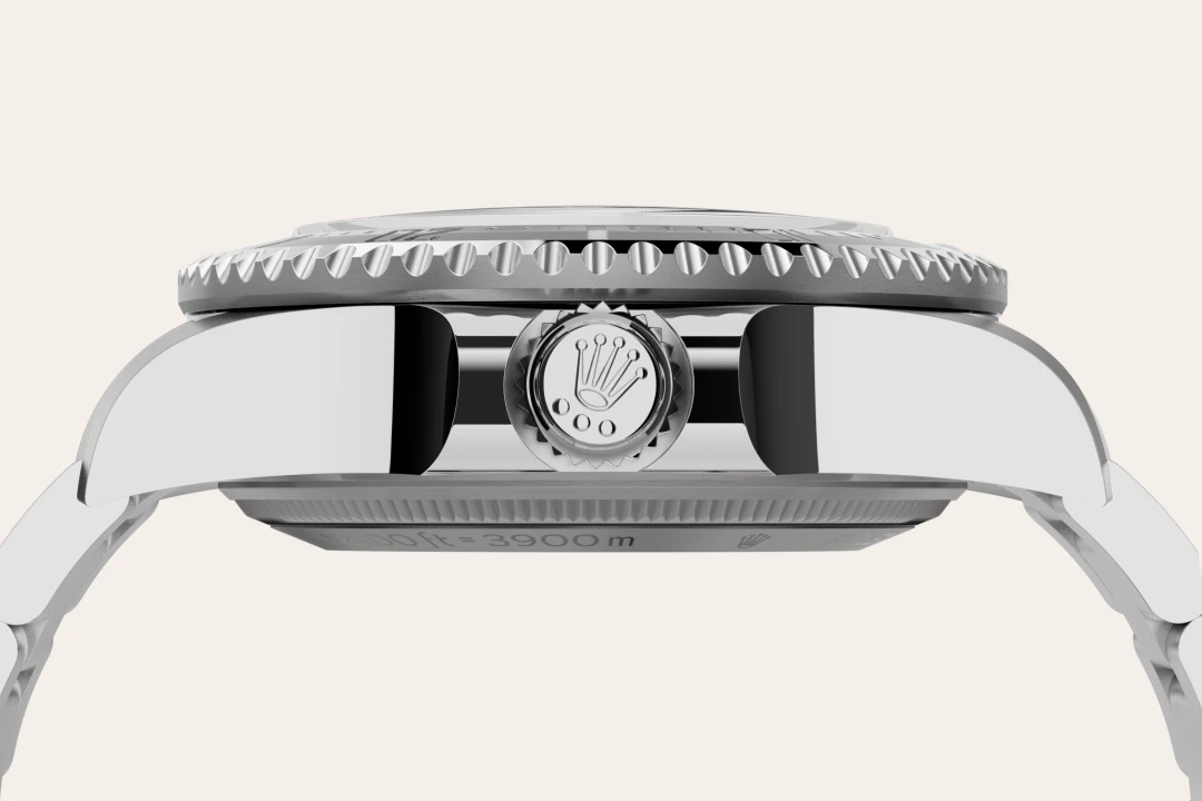 Rolex Deepsea in Oystersteel, M136660-0006 - Watch Palace