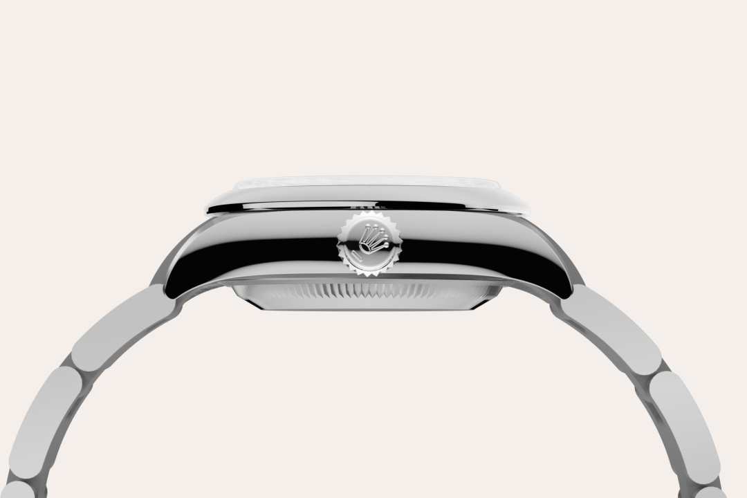 Rolex Oyster Perpetual in Oystersteel, M276200-0007 - Watch Palace