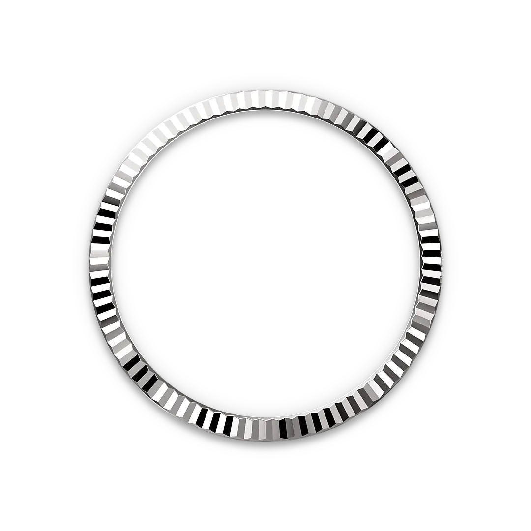 rolex datejust in white rolesor, M126234-0045- watch palace
