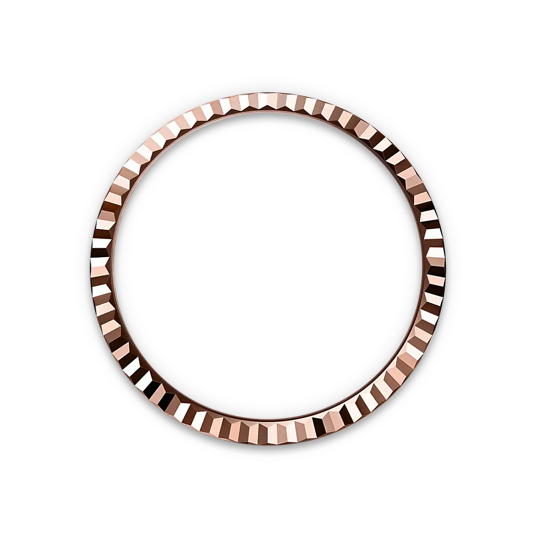 rolex land-dweller in 18 ct everose gold, m127235-0001 - watch palace