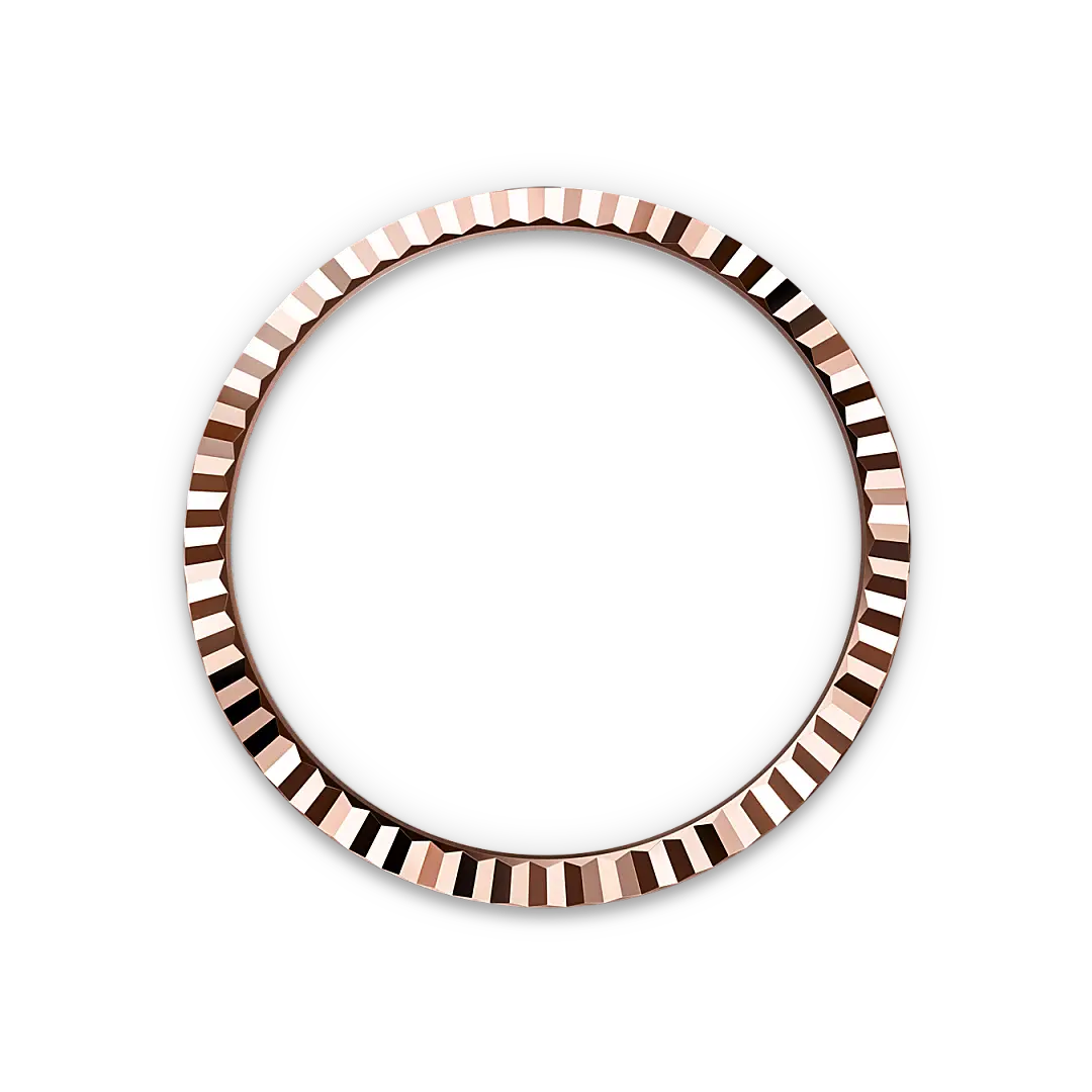 rolex land-dweller in 18 ct everose gold, m127335-0001 - watch palace