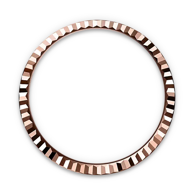 rolex land-dweller in 18 ct everose gold, m127235-0001 - watch palace