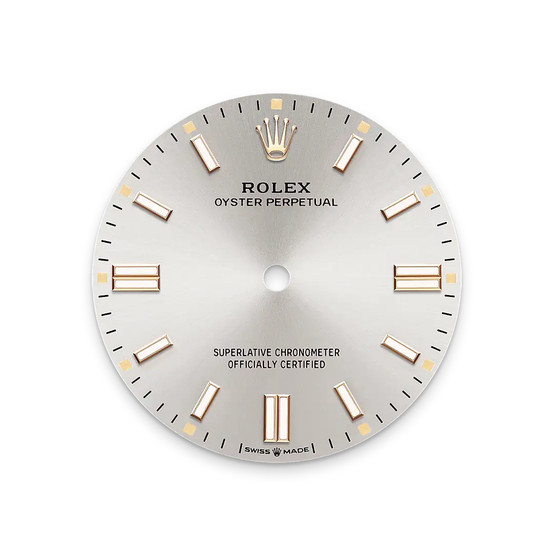 rolex oyster perpetual in oystersteel, m126000-0001 - watch palace
