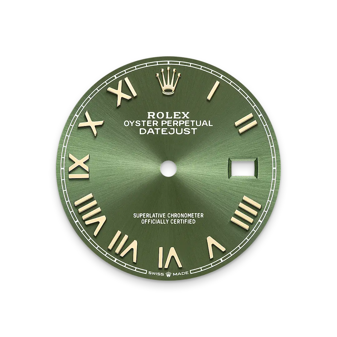 rolex datejust in yellow rolesor, M126283RBR-0039- watch palace