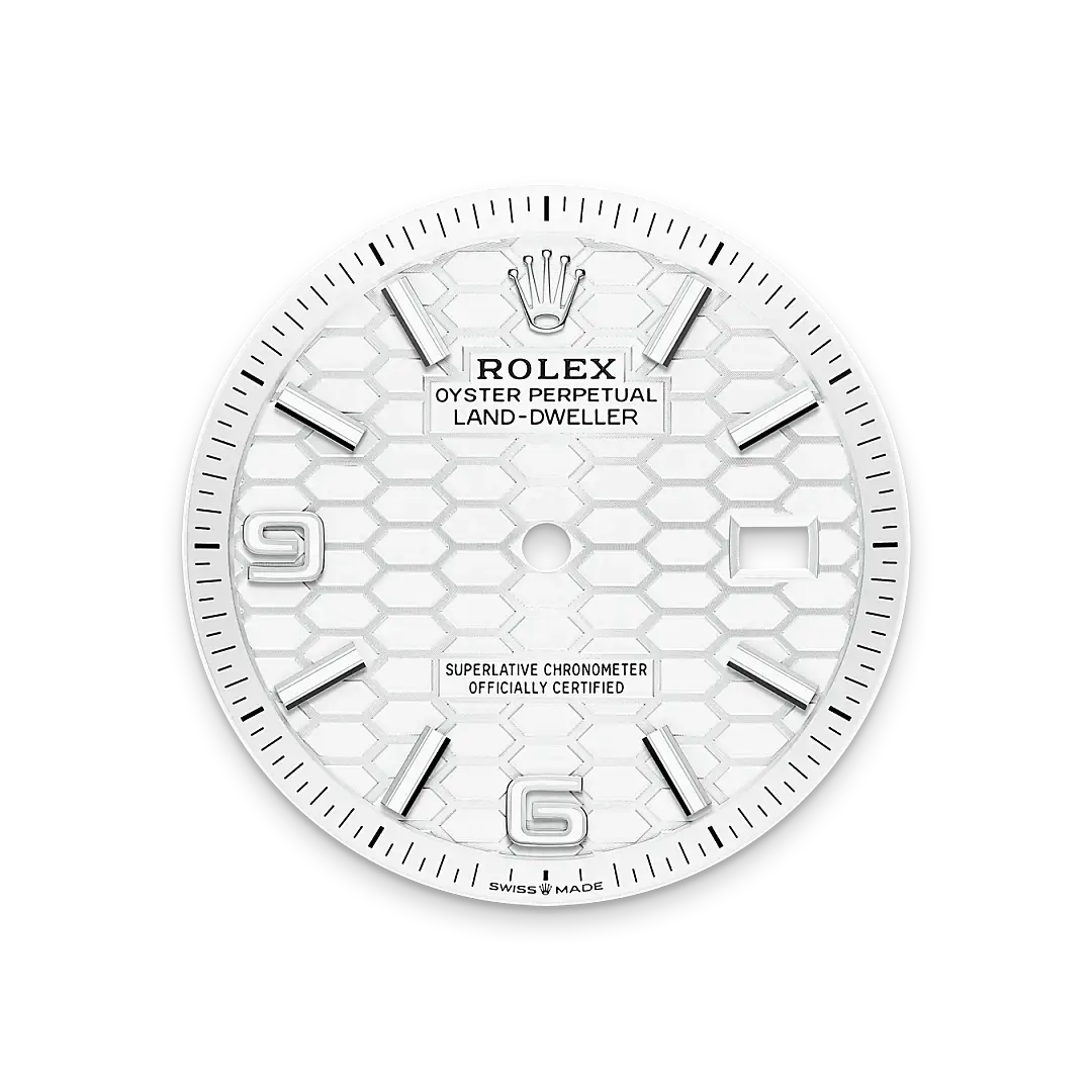 rolex land-dweller in white rolesor, m127234-0001 - watch palace