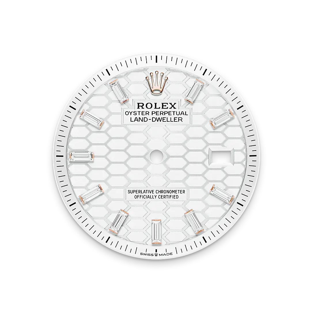 rolex land-dweller in 18 ct everose gold, m127285tbr-0002 - watch palace