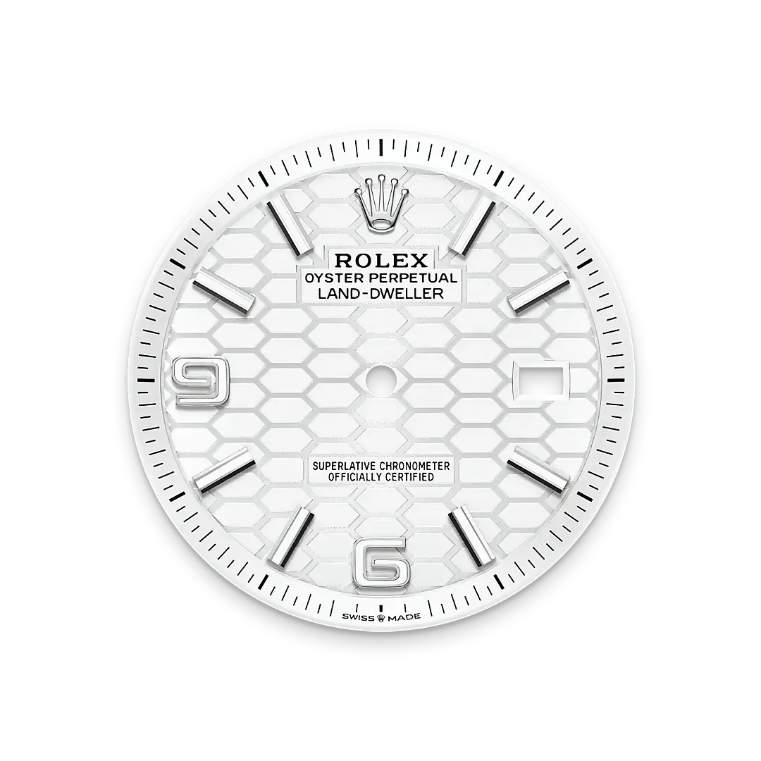 rolex land-dweller in white rolesor, m127334-0001 - watch palace