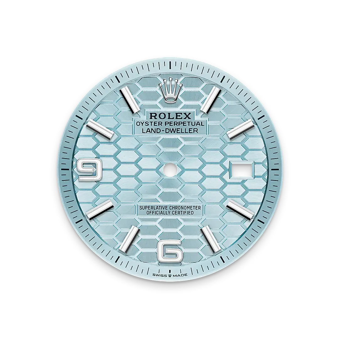 rolex land-dweller in platinum, m127336-0001 - watch palace