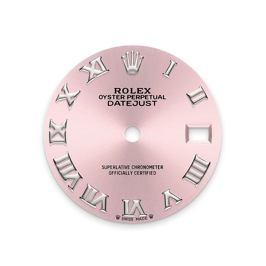 rolex lady-datejust in oystersteel, m279160-0013 - watch palace