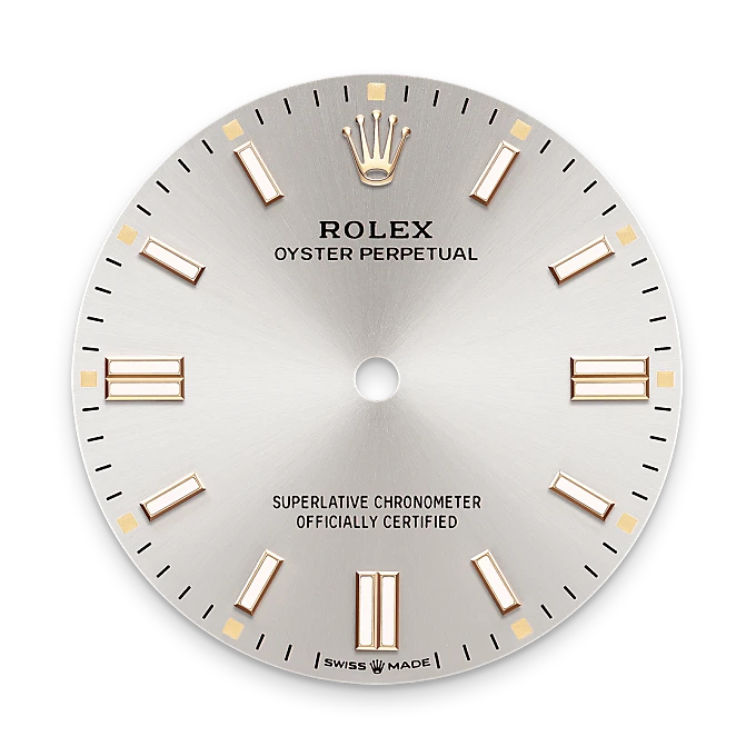 rolex oyster perpetual in oystersteel, m126000-0001 - watch palace