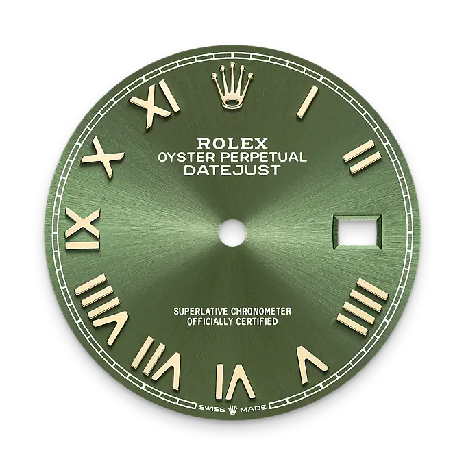 rolex datejust in yellow rolesor, M126283RBR-0039- watch palace