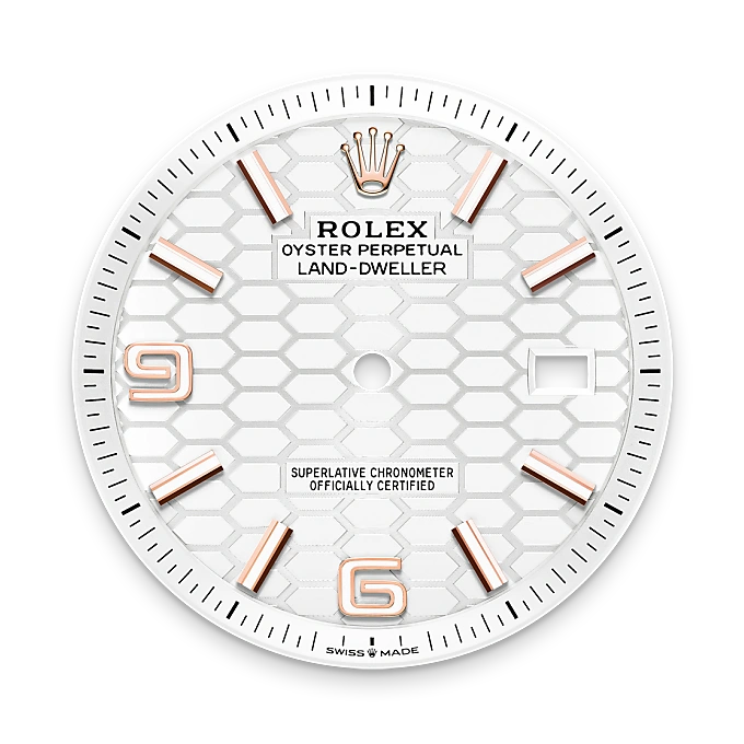 rolex land-dweller in 18 ct everose gold, m127335-0001 - watch palace
