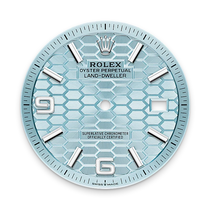 rolex land-dweller in platinum, m127336-0001 - watch palace