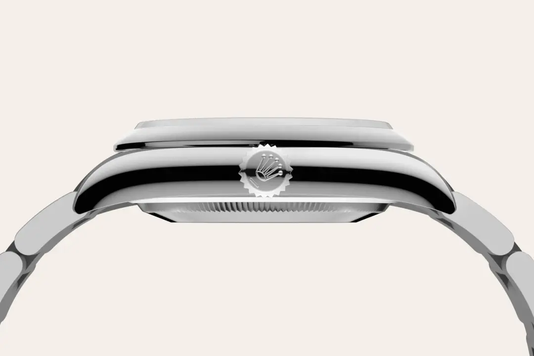 rolex oyster perpetual in oystersteel, m126000-0016 - watch palace