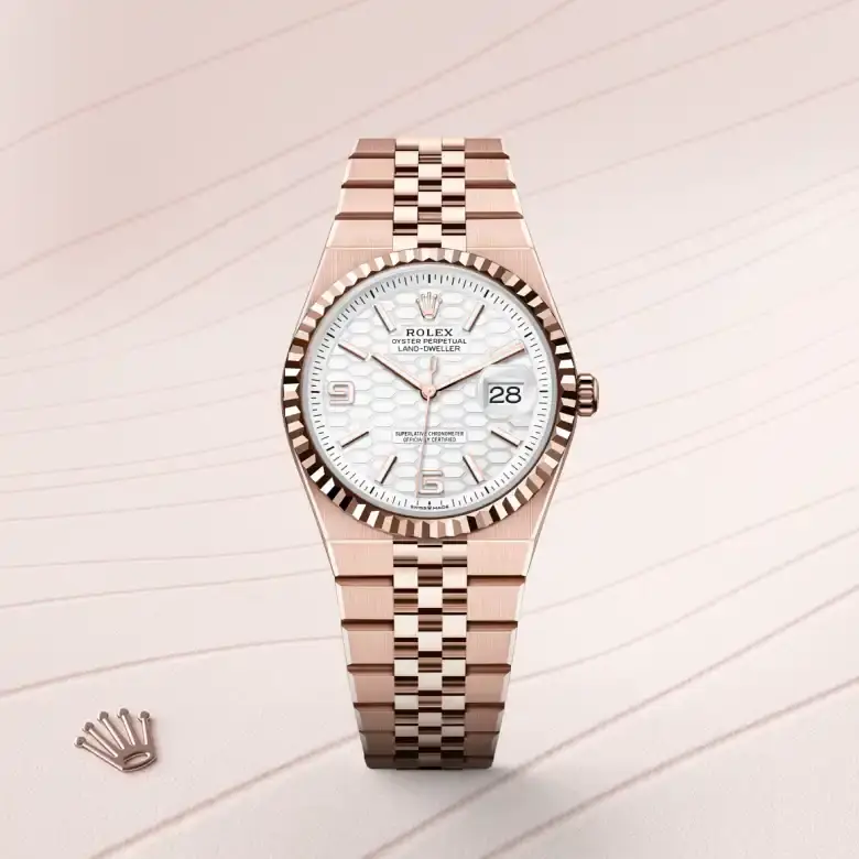 rolex land-dweller in 18 ct everose gold, m127235-0001 - watch palace, First image