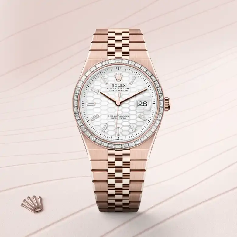 rolex land-dweller in 18 ct everose gold, M127385TBR-0003- watch palace, First image