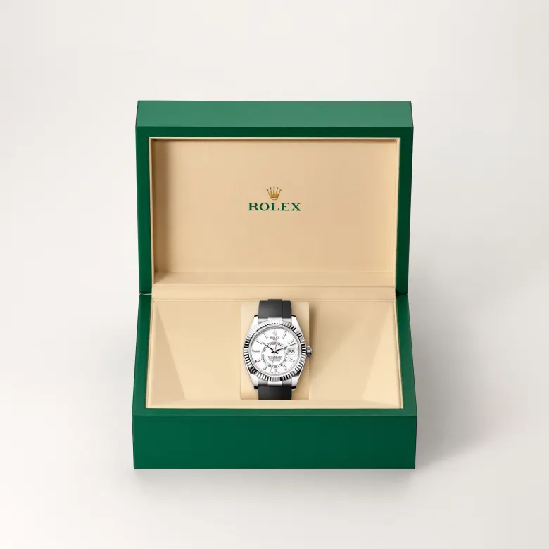 rolex sky-dweller in 18 ct white gold, M336239-0003- watch palace, Second image